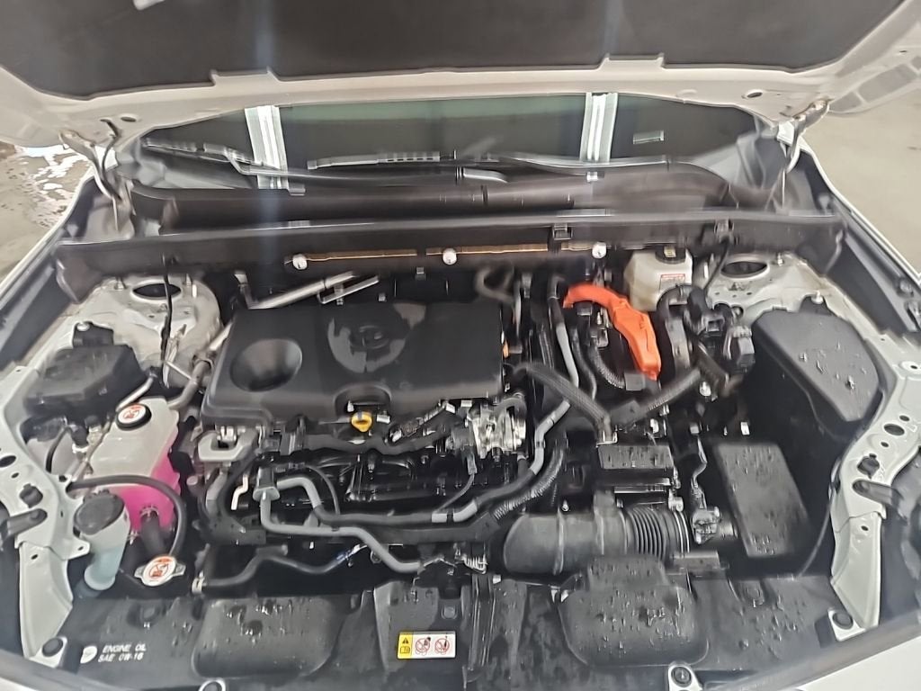 2023 Toyota Venza LE